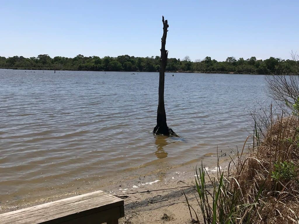 Pasadena, TX 22 Armand Bayou