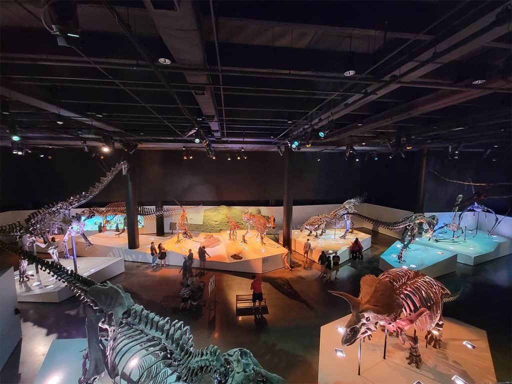 Houston Museum of Natural Science
