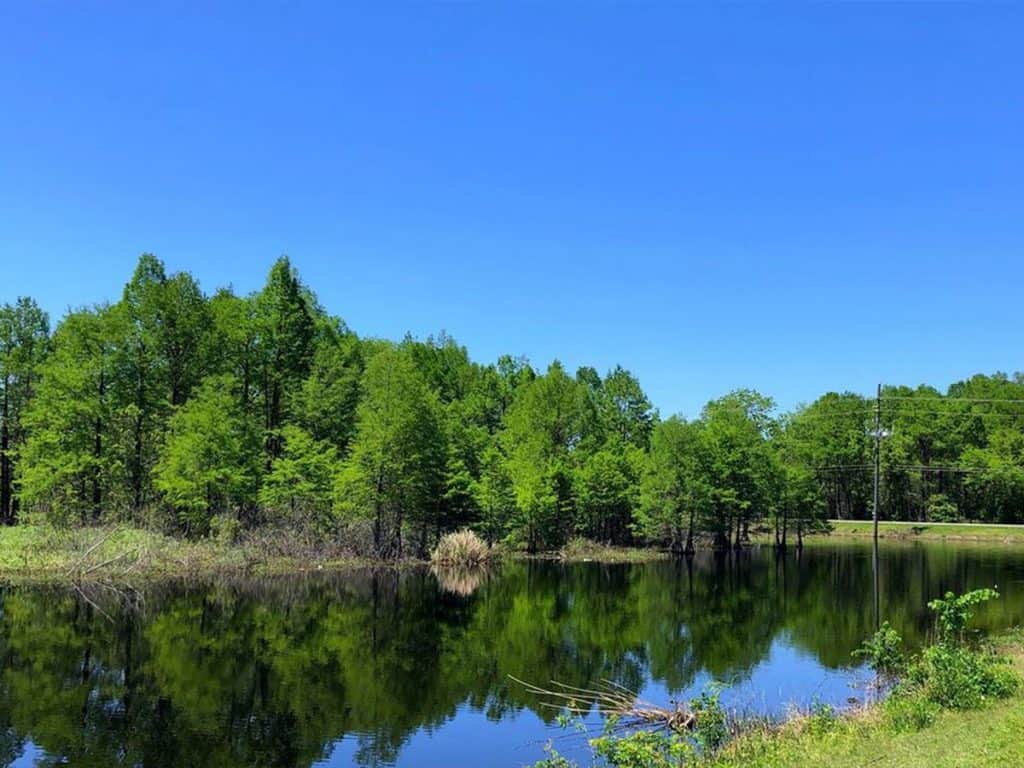 Channelview, TX 24 Sheldon Lake