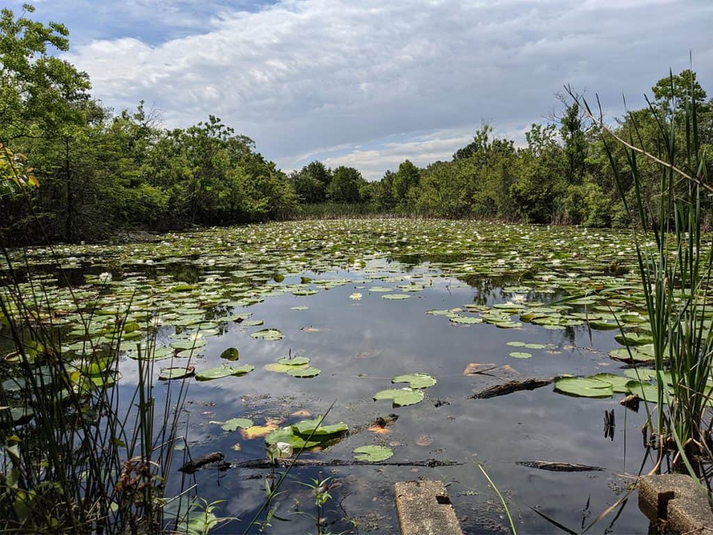 Channelview, TX 22 Sheldon Lake State Park Environmental Learning Center